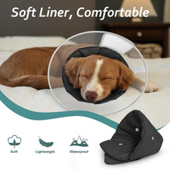 Petdream clear PVC cone lets dogs see surroundings while recovering, reducing anxiety.