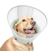Petdream dog cone see-through design helps pets stay calm during recovery.