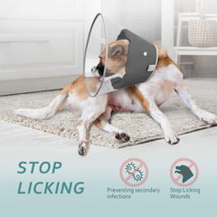 Petdream see-through dog cone helps view surroundings to stay calm