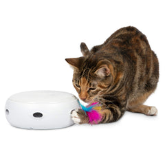 PetFusion Ambush: feather popping from a concealed hole for active indoor play.