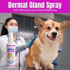 Petglow Anal Gland Spray application on dog's hind area for targeted care.