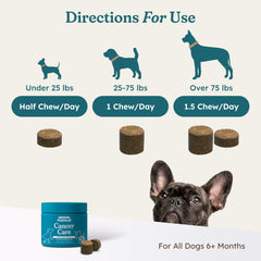 PetHeal Cancer Care Chews packaging, easy-to-store bottle for vet-approved regimen.