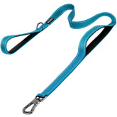 PetiFine 6ft dog leash with heavy-duty construction for reliable daily walks.