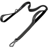 PetiFine 6ft heavy-duty leash with secure clip for dependable everyday walks.