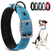 PetiFine blue neoprene-padded dog collar shown on a medium dog for daily comfort.