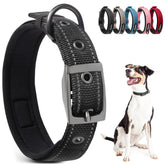 PetiFine neoprene padded collar provides cushioned comfort on daily walks