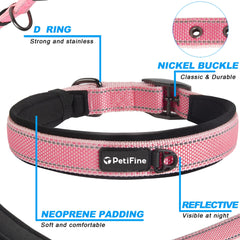 PetiFine reflective stitching seen at dusk enhances visibility during night walks.