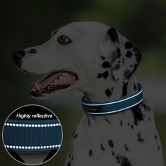 PetiFine reflective straps increase visibility during early morning walks.