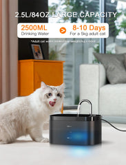 Petilog faucet-style design attracts cats, encouraging hydration from flowing water.