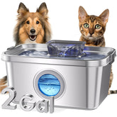 PETIMI dog water fountain 2-gallon capacity delivers extended hydration for pets.