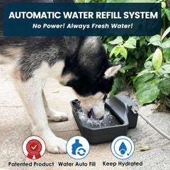 PETIMI 1-gallon water dispenser ideal for households with multiple pets.