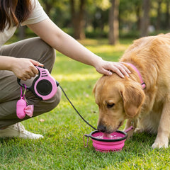 PETIMP retractable leash showing 16ft length for controlled outdoor freedom.