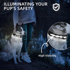 PetIsay LED dog collar waterproof for adventures in rain and puddles.