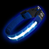 PetIsay light-up collar USB-C rechargeable blue for night visibility