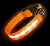 PetIsay Super Bright LED Dog Collar front-lit glow for night safety.