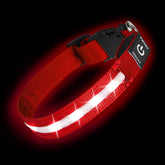 PetIsay Super Bright LED dog collar front view for high night visibility