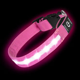 PetIsay pink LED dog collar front view for high visibility on night walks