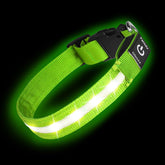 PetIsay super bright LED dog collar side view for high visibility at night.