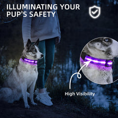 PetIsay LED dog collar waterproof durability for rain and mud