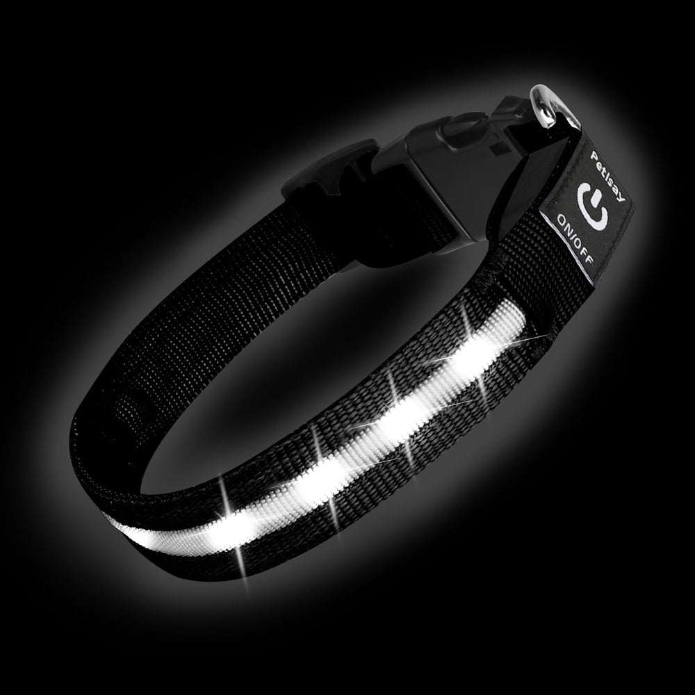 PetIsay Super Bright LED Dog Collar in white for medium dogs, high night visibility.
