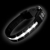 PetIsay Super Bright LED Dog Collar in white for medium dogs, high night visibility.