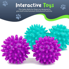 Petite Paws Spiky Ball squeaker engages dogs during play.