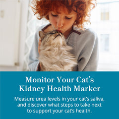 Petivity saliva swab for cats shows quick, noninvasive kidney health check.