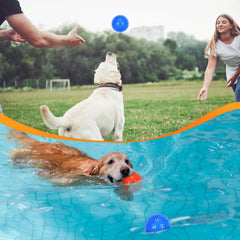 Petizer 6-pack large-dog fetch toy ready for active outdoor play.