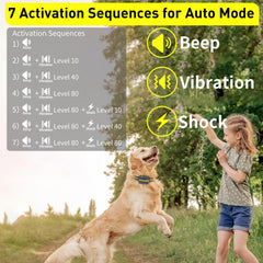 PetJoy three-dog pairing setup enabling separate training sessions