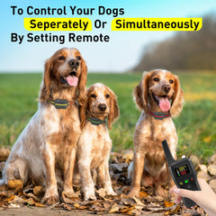 PetJoy auto mode and remote use for versatile training