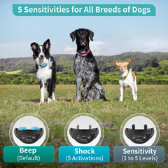 PetJoy bark collar illustrates seven activation sequences for training options