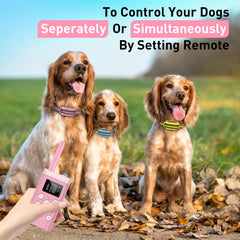 PetJoy remote control for dog collar enabling easy, individualized coaching.