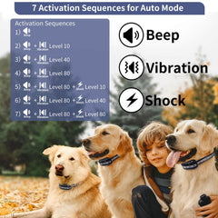 PetJoy Training Collar with adjustable levels enables tailored training.