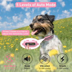 PetJoy four stimulation modes on the collar for adaptable training routines.