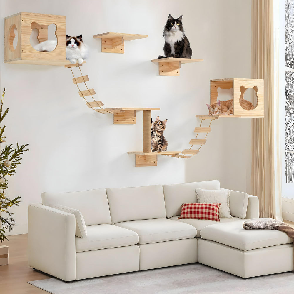 PETKABOO cat wall shelves installation shows easy setup and space-saving design.