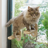 PETKARAY Cat Window Shelf original perch provides a sturdy elevated spot for curious indoor cats.
