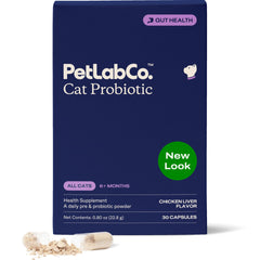 PetLab Co. cat probiotics powder in a dish supports gut comfort