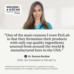 PetLab Co. Clear Ears Therapy applying drops to a dog's ear for cleaning.