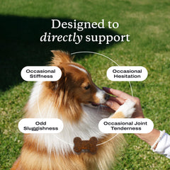 PetLab Co Joint Care chews pork flavor close-up emphasizes palatability.