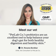 PetLab Co. probiotics for dogs pumpkin and inulin support healthy digestion