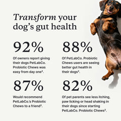 PetLab Co probiotics soft chews shown as tasty treats for allergy support