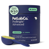 PetLab Co. ProBright dental powder bottle shows a ready-to-use formula for large dogs' fresher breath.