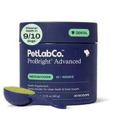 PetLab Co ProBright dental powder bottle supports easy daily care for dogs