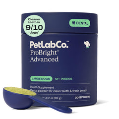 PetLab Co. ProBright dental powder bottle shows a ready-to-use formula for large dogs' fresher breath.