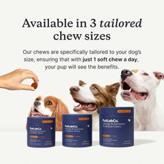 PetLab Co yeast-support dog chew closeup promoting balanced yeast production.