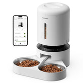 PETLIBRO 5L feeder with dual bowls keeps two cats fed evenly.