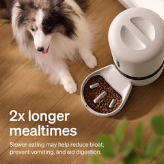 PETLIBRO 5L sealed tank keeps kibble dry and fresh between meals.