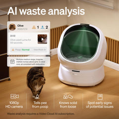 PETLIBRO Luma multi-cat recognition tracks up to 10 cats by individual data.