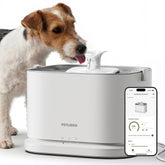 PETLIBRO quiet dog fountain with stainless steel tray for peaceful hydration.