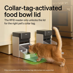 PETLIBRO RFID feeder detects collar tag to unlock lid